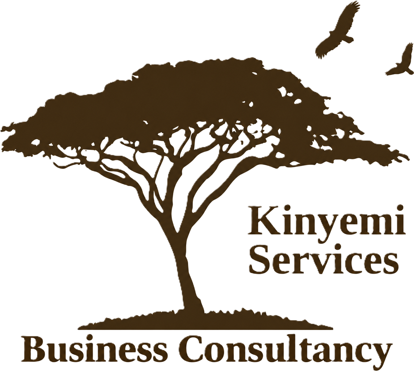 Kinyemi Consulting Service